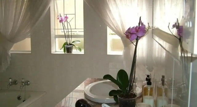 Номер Deluxe Bay Tree Guest House