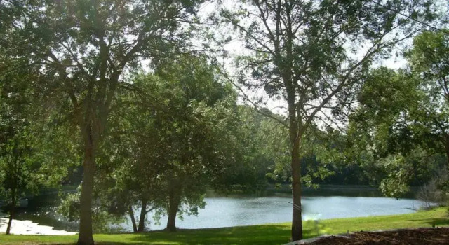 Gîte La Forge de Saint Pierre, Boek Appartement Saissac Aude