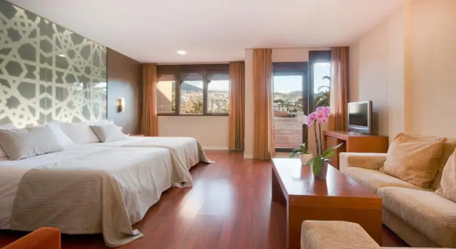 Двухместный номер Standard Hotel Granada Palace, Affiliated by Melia