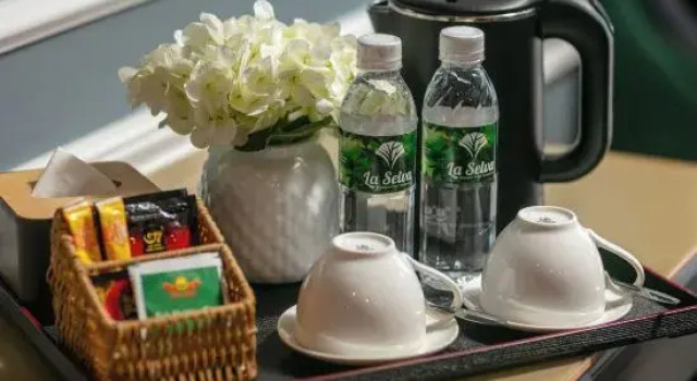 Номер Deluxe La Selva Premium Hotel