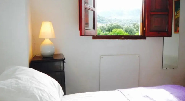 Студия Standard Finca La Rana Verde