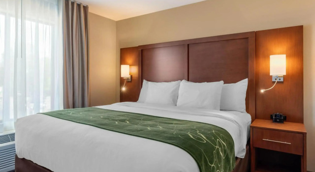Comfort Inn & Suites Schenectady - Scotia, Rezerwuj Hotel Hotele w Schenectady z parkingiem, Parking