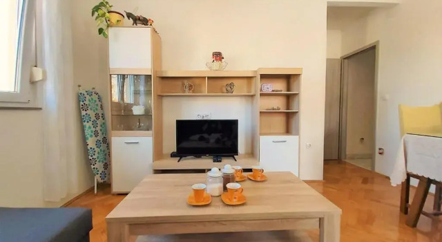 Apartment Ribnjak 10