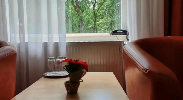 Двухместный номер Standard Hotel Cornul Vanatorului