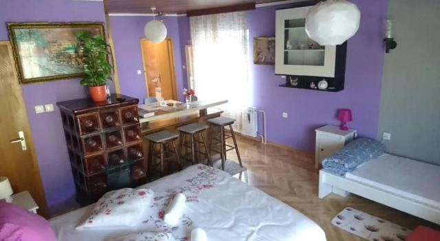 Апартаменты Apartments Kamenecki