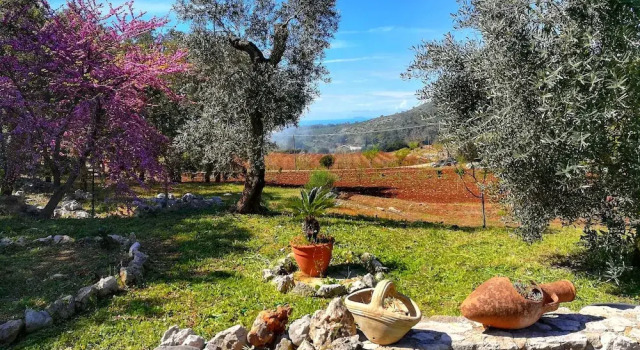 Вилла Villa Cycas Relaxation in Nature