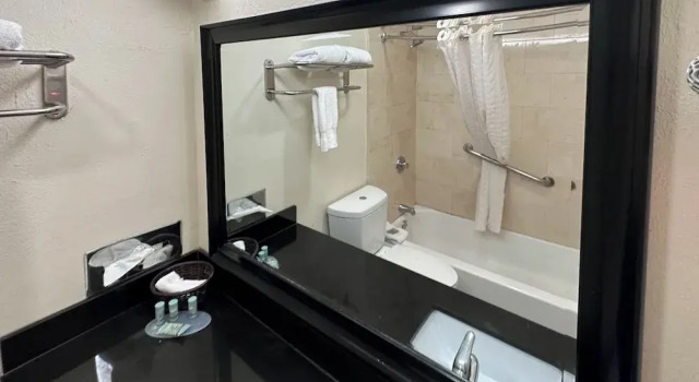 Двухместный номер Standard Studio 6 Suites - Dallas, TX - Downtown