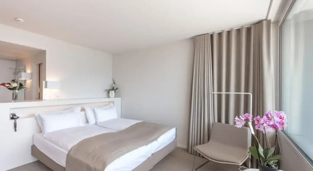 Двухместный номер Standard с балконом и с видом на озеро Hotel Lavaux