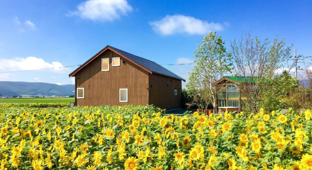 Номер Standard Country Cottage Wakiaiai