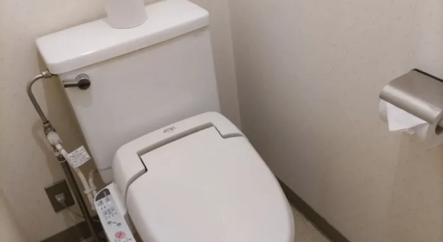 Номер Standard Livemax Resort Isawa Onsen