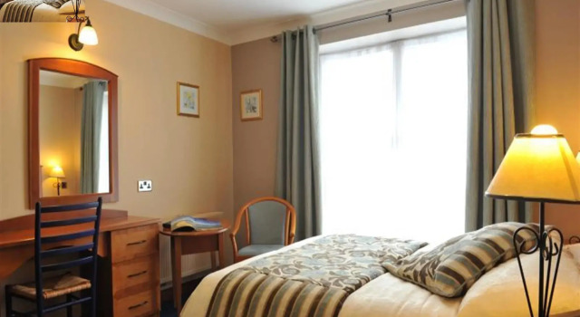 Двухместный номер Standard Fitzgeralds Hotel
