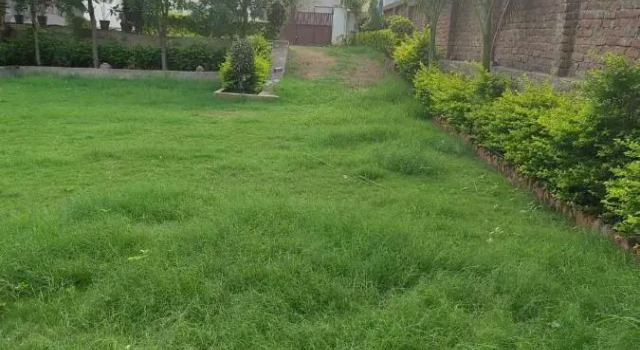 Sunrise Villa & Pool, Rezervovat Vila Udajpur Rajasthan