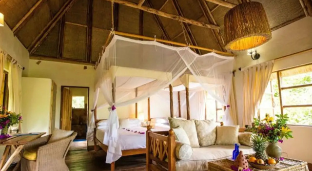Bwindi Safari Lodge