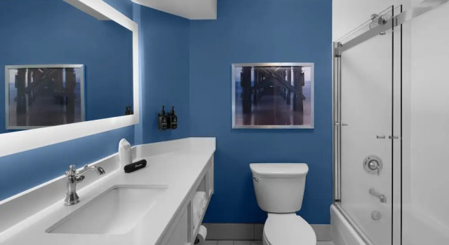 Номер Premium Hotel Indigo Mount Pleasant by IHG