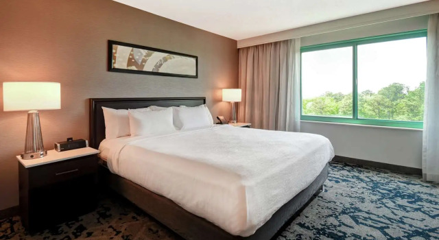 Двухместный номер Standard Embassy Suites by Hilton Raleigh Durham Research Triangle