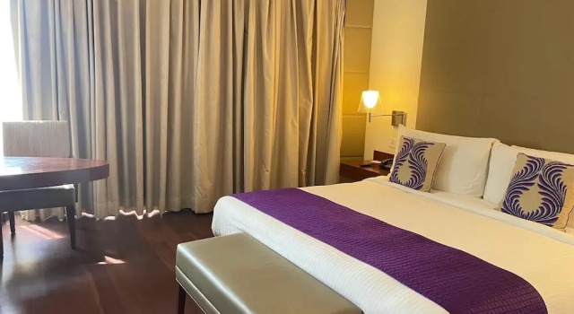 Двухместный номер Standard The Anya Hotel Gurgaon - Golf Course Road