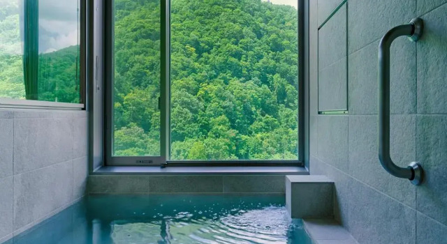 Двухместный номер Standard Grand Blissen Hotel Jozankei