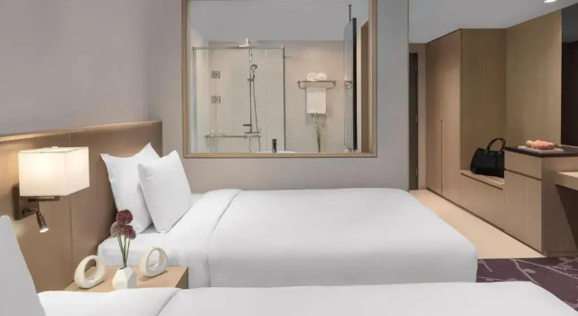 Avani Deluxe Twin room with city view Avani Central Busan