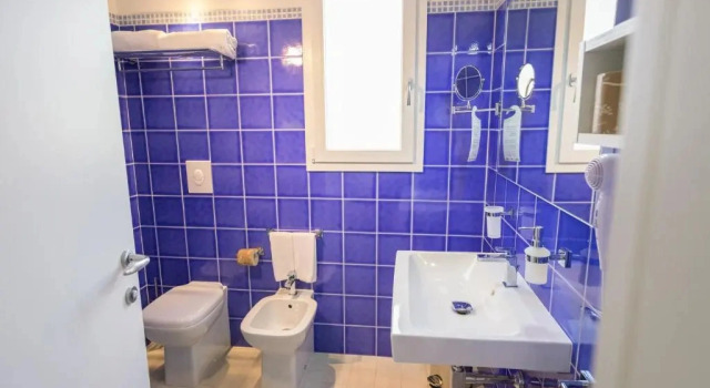 Panoramik manzaralı Standart çatı katı oda Regina Simius Hotel