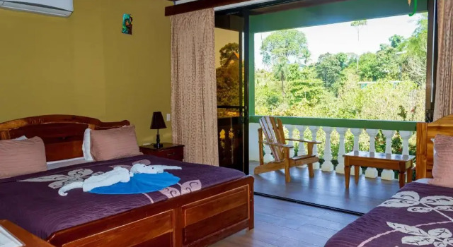 Двухместный номер Standard Jacamar Corcovado Drake Bay