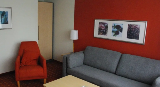 Трёхместный номер Standard с балконом CAREA Residenz Hotel Harzhöhe