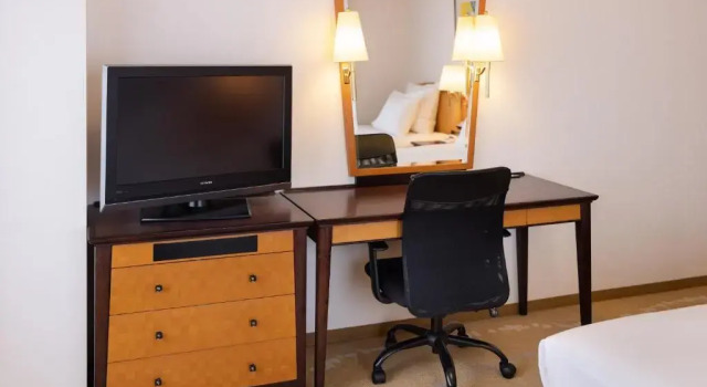 Одноместный номер Standard ANA Crowne Plaza Toyama by IHG