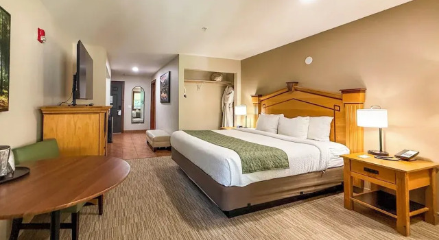 Двухместный номер Deluxe с балконом Carson Hot Springs Resort & Spa