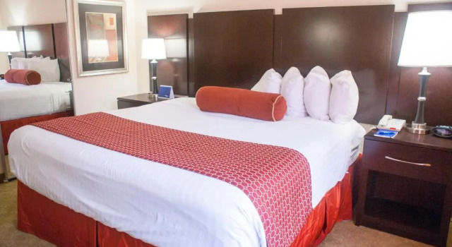 Номер Standard Best Western Plus Jacksonville West