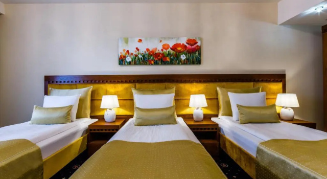 Трёхместный номер Standard Grein Hotel