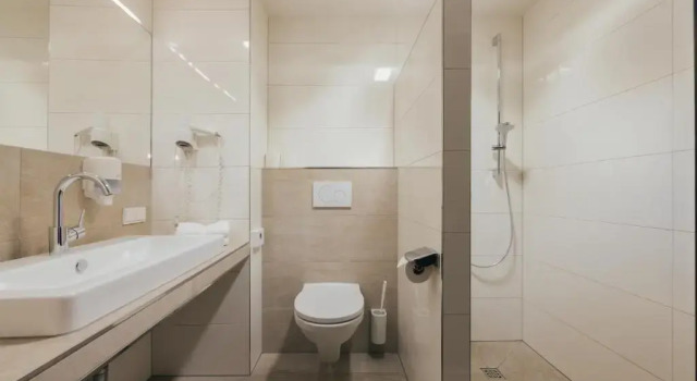 Трёхместный номер Standard Hotel Bären