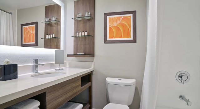 Люкс Delta Hotels by Marriott Chicago Willowbrook