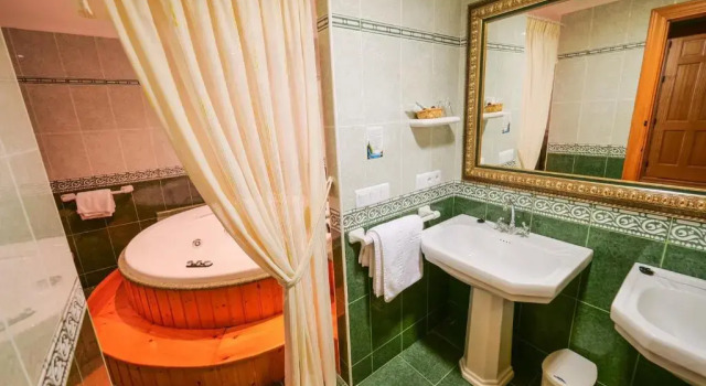 Двухместный люкс Hotel Flor de la Mancha