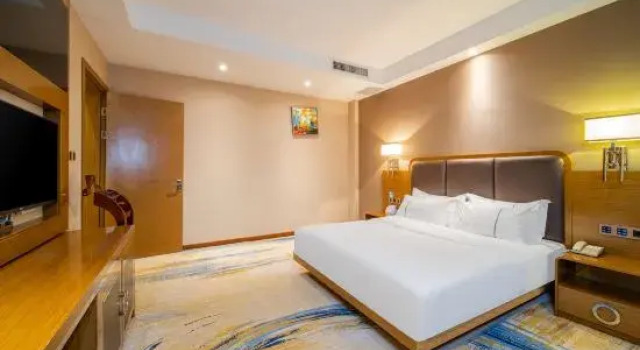 Люкс Deluxe Botai Hotel