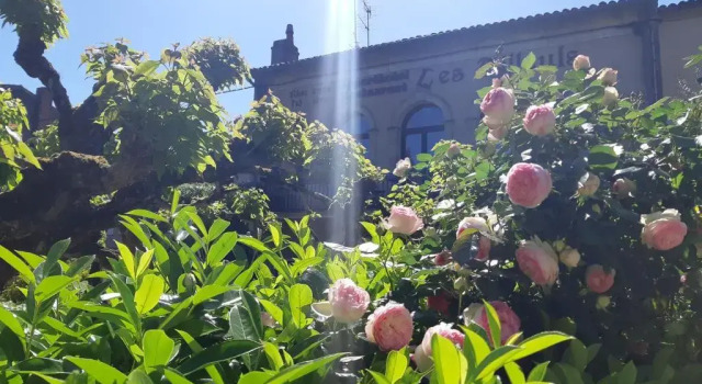 Студия Superior AppartHôtel Les Tilleuls