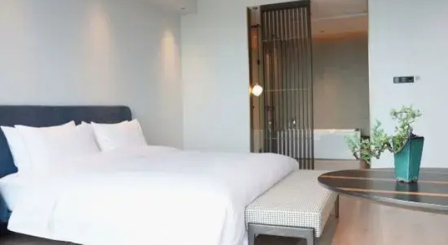 Люкс Sanjiang International Hotel