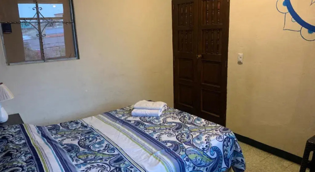 Номер Standard Kasa Kiwi Hostel & Travel Agency
