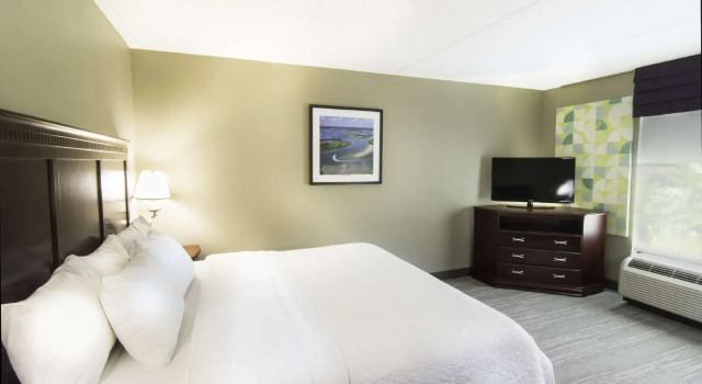 Двухместный номер Standard Hampton Inn Kingsland