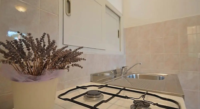 Апартаменты Standard Apartment 1770