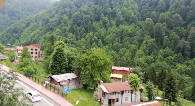 Номер Deluxe Ayder Resort Hotel