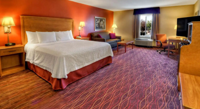 Номер Standard Hampton Inn Twin Falls