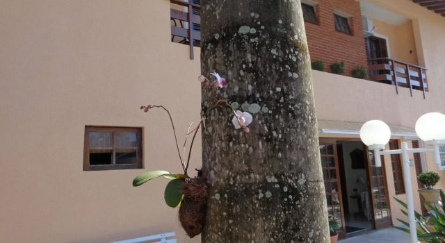 Hotel Costa Balena