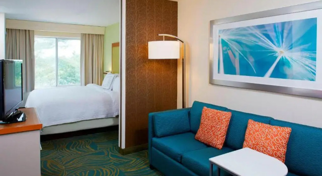 Люкс SpringHill Suites by Marriott Atlanta Six Flags