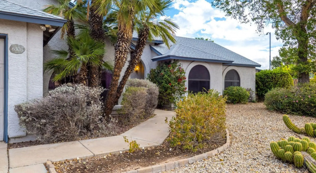 Royale Living in the Heart of Phoenix
