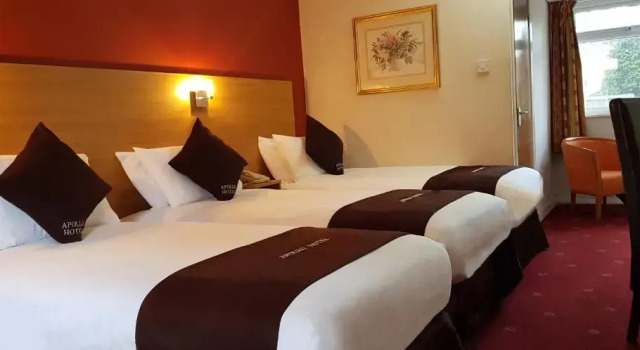 Трёхместный номер Standard Apollo Hotel