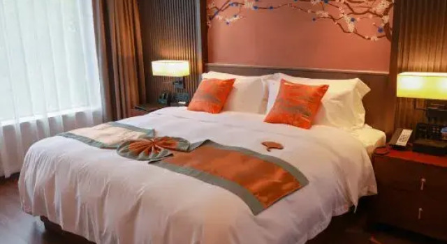 Люкс Business с видом на озеро Shuyuan Hotel