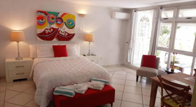 Двухместная студия Deluxe Sunflower Villa Studios