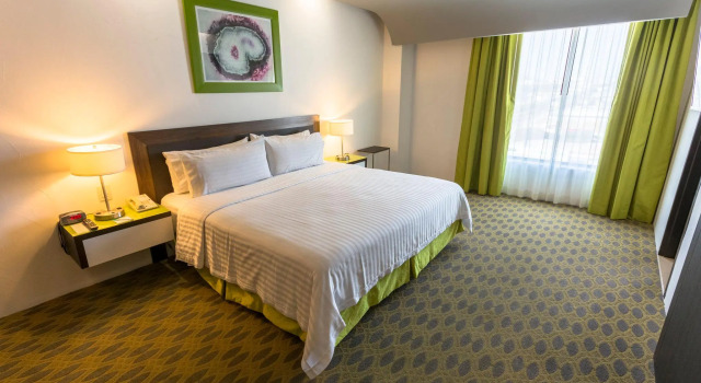 Двухместный номер Standard Holiday Inn Queretaro Zona Krystal by IHG