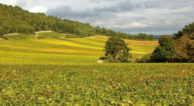 Коттедж Hameau de Blagny