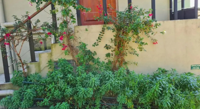 Вилла Deluxe Villa Spring Acre