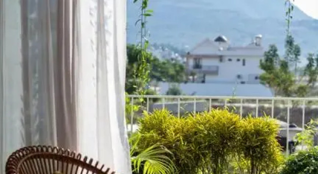 Holi Terrace House
